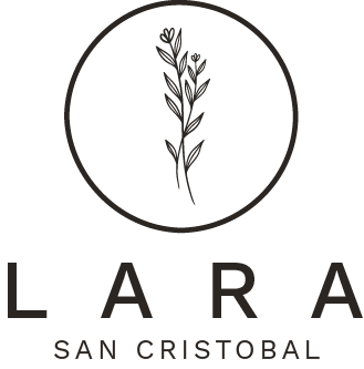Lara San Cristóbal